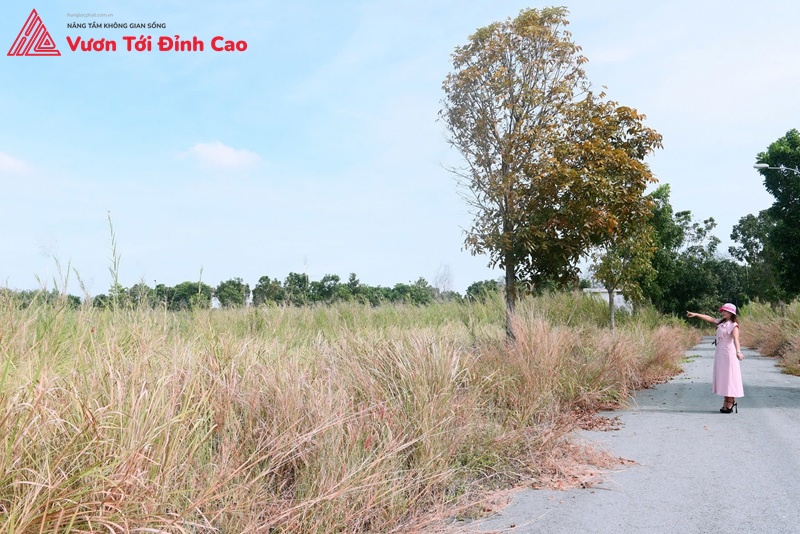 Mảnh đất này đang chờ một người biến bản vẽ thành mái ấm thật.