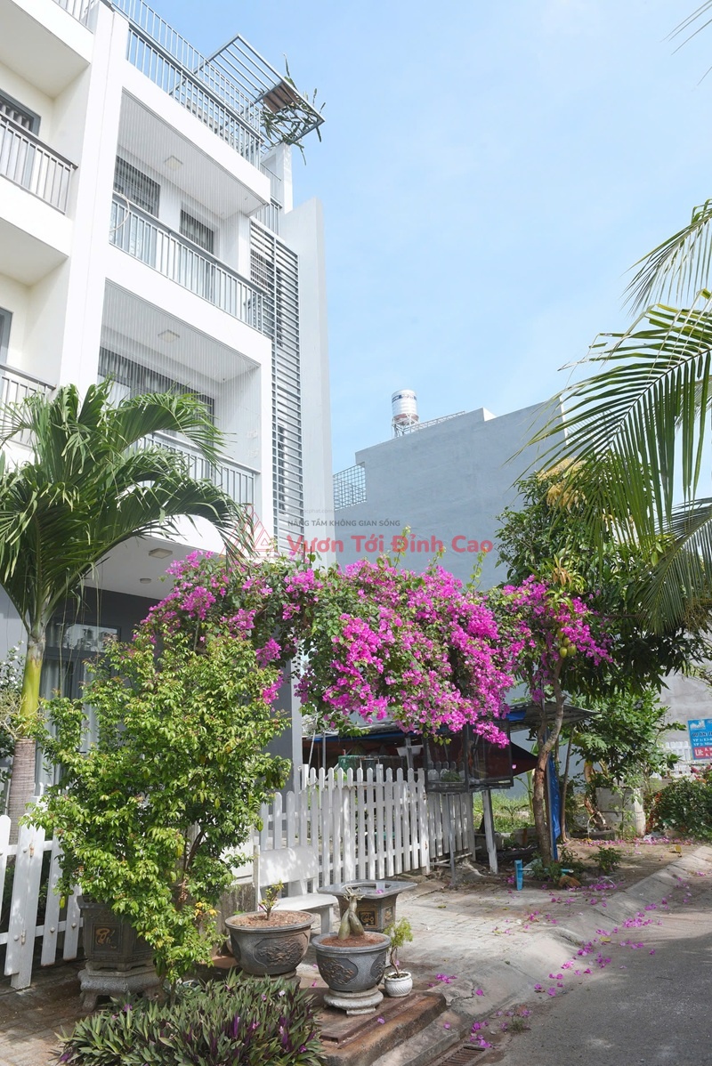 Dự án The Star Village Nhà Bè